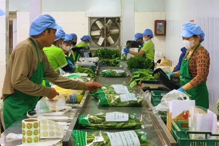 Khẩn trương khắc phục thiên tai, đẩy mạnh sản xuất phục vụ Tết 2026