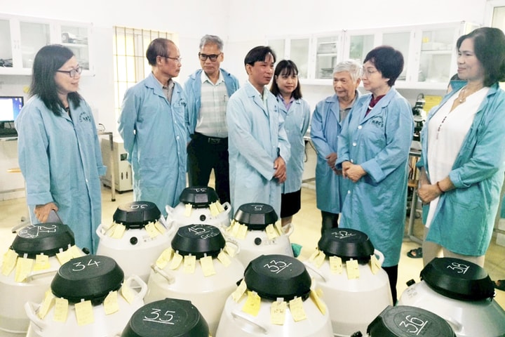 Chăn nuôi bò thịt chất lượng cao tại Hà Nội: Nâng cao năng suất, cải thiện đời sống nông dân