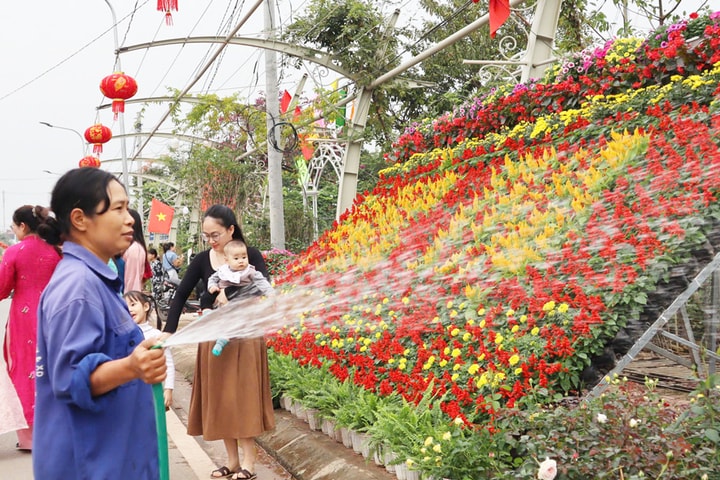 Rộn ràng làng hoa ven sông Tích