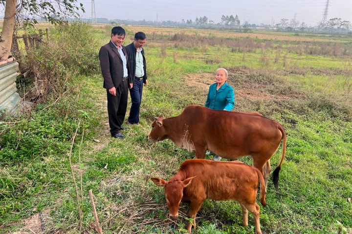 Hành trình thoát nghèo của người mẹ 47 năm chăm con tật nguyền