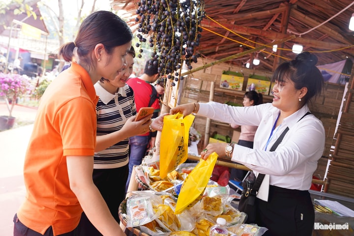 Festival OCOP Việt Nam 2025: Từ giá trị bản địa đến hội nhập