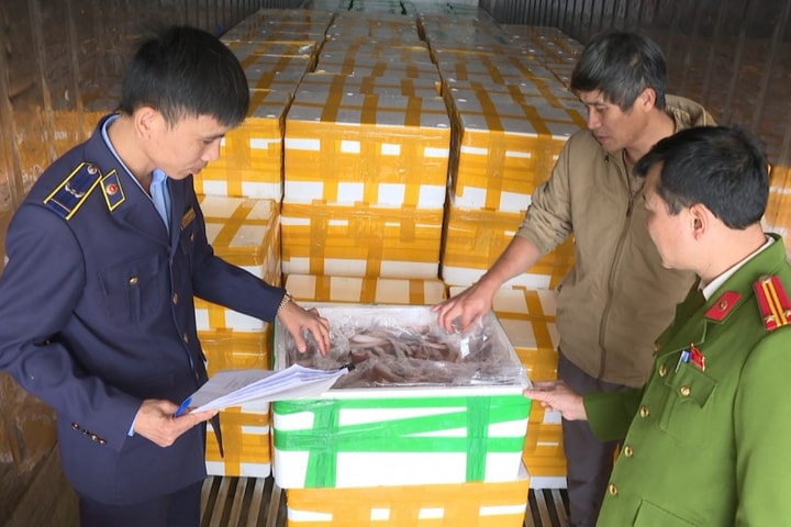 Sầm Sơn (Thanh Hoá): Thu giữ hơn 10 tấn cá khoai sử dụng chất cấm để bảo quản