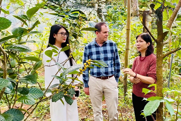 Nhà khoa học nữ gắn mình với nông nghiệp Việt