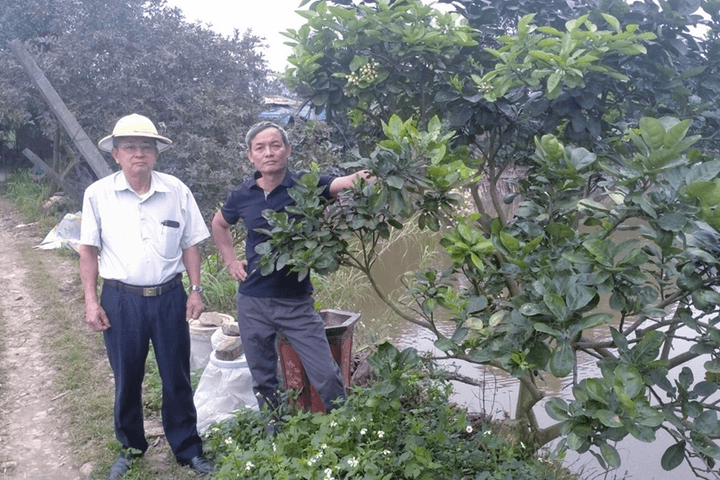 Hành trình xóa đói giảm nghèo của cựu chiến binh Nguyễn Văn Mười