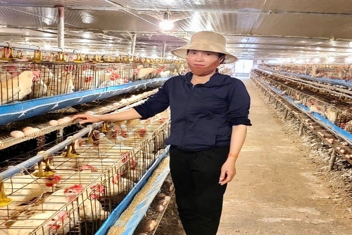 Mở lối thoát nghèo từ mô hình chăn nuôi mới