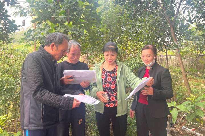 Cần làm rõ sự minh bạch của hồ sơ giao khoán đất tại xã Hòa Lạc