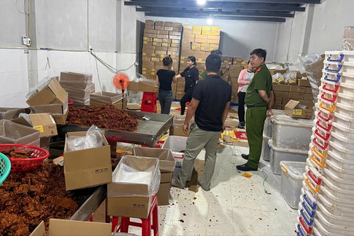 TP Hồ Chí Minh: Phát hiện hơn 30,5 tấn nội tạng, thịt động vật không rõ nguồn gốc