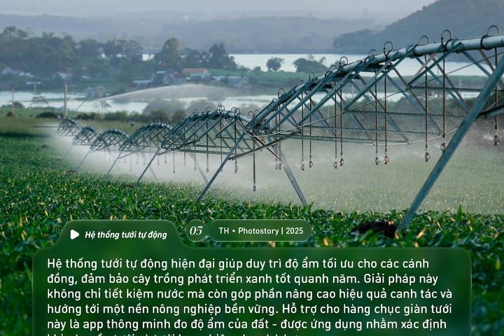 Bức tranh thiên nhiên ngút tầm mắt chỉ có ở nơi sản xuất sữa tươi sạch TH true MILK