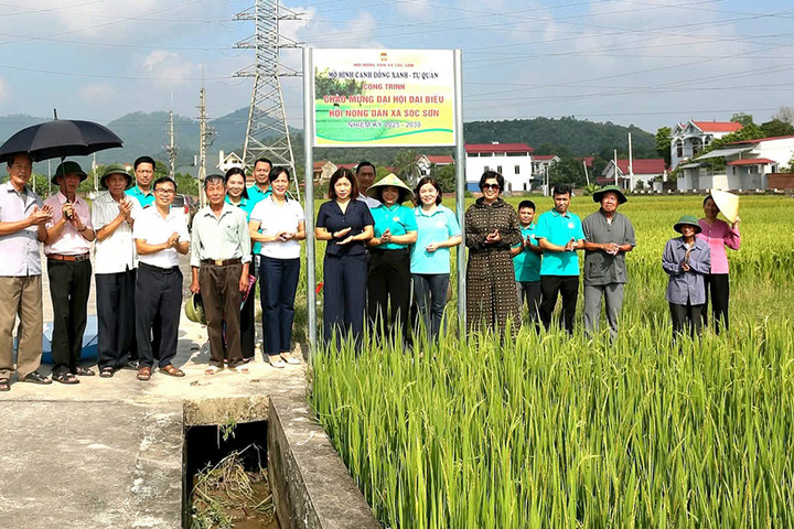 Nông dân xã Sóc Sơn sản xuất nông nghiệp xanh, sạch
