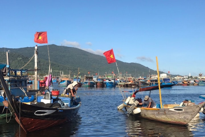 Đà Nẵng Sau 5 năm xử lý môi trường, cảng cá Thọ Quang “hạ nhiệt” ô nhiễm