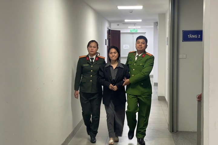 Vụ lừa bán vé Show nhạc "Về đây bốn cánh chim trời": Giám đốc Công ty Ngọc Việt đối diện hình phạt nào?