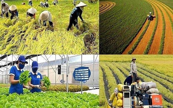 Chính sách mới có hiệu lực từ tháng 1-2026
