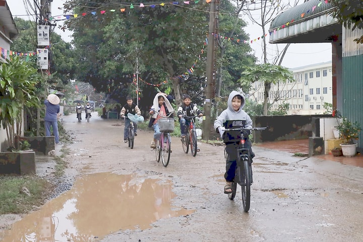 Cải tạo, nâng cấp đê tả Bùi, hữu Đáy: Không thể chậm trễ hơn nữa