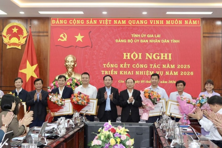 Gia Lai: Ưu tiên các dự án lớn, thân thiện môi trường