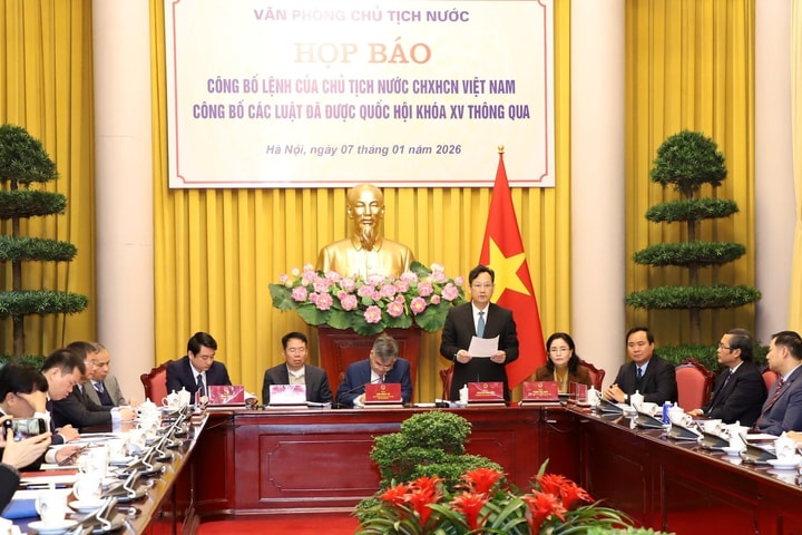 Luật Tòa án chuyên biệt và Luật Phục hồi, phá sản: Củng cố niềm tin nhà đầu tư, tiệm cận chuẩn mực quốc tế