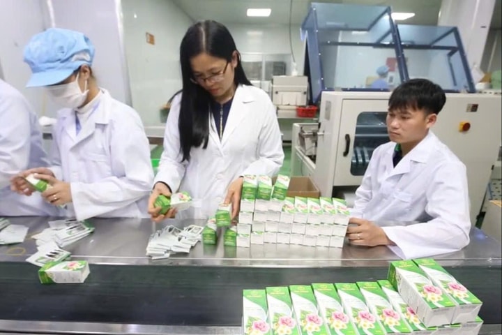 Người đi tìm giá trị cho dược liệu Việt