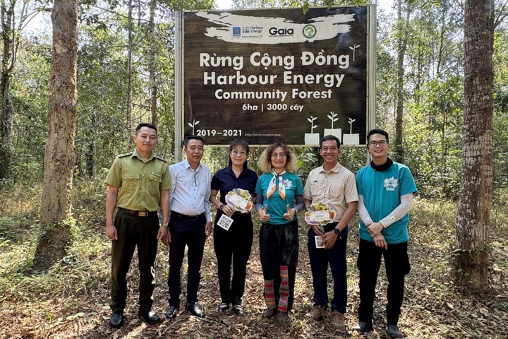 Trồng rừng bền vững - lời giải cho thách thức biến đổi khí hậu