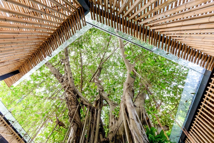 Kiến trúc xanh - bước chuyển tất yếu