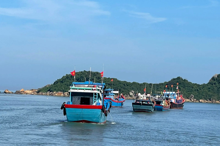 Gỡ “thẻ vàng” IUU: Quảng Ngãi hành động vì nghề cá bền vững
