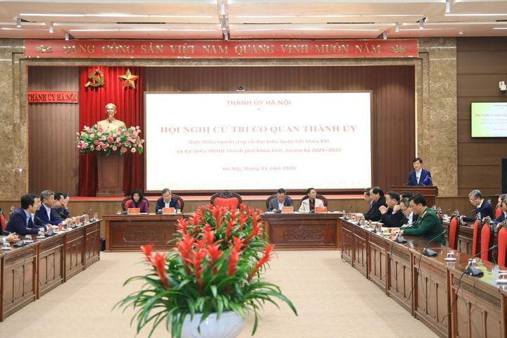 Hội nghị lần thứ tư Ban Chấp hành Đảng bộ thành phố khóa XVIII xác định mục tiêu tăng trưởng trên 11%