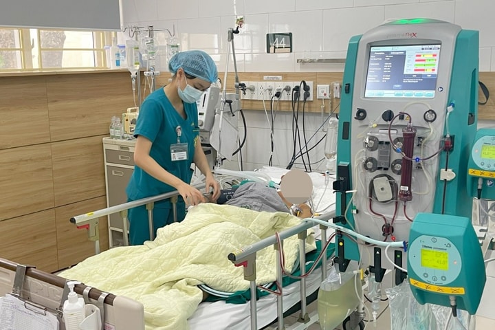 Cục An toàn thực phẩm Cảnh báo các trường hợp ngộ độc nấm nhập viện cấp cứu