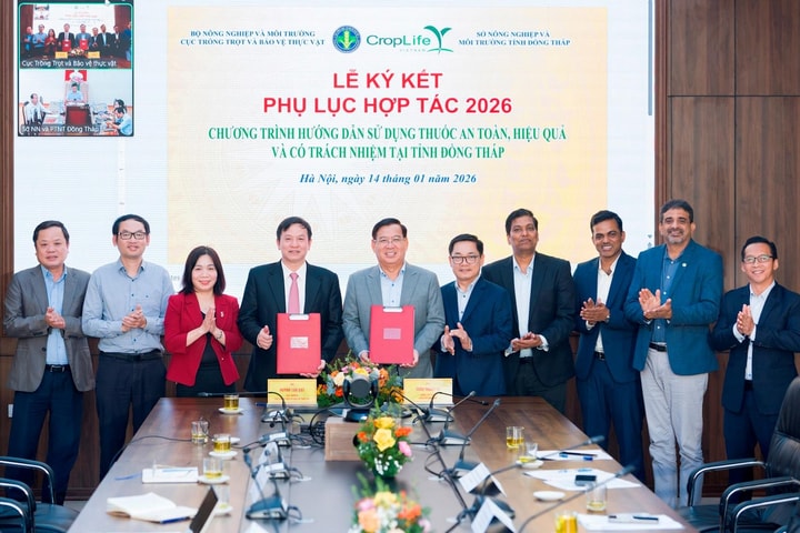 Tăng cường hợp tác thúc đẩy quản lý thuốc bảo vệ thực vật bền vững