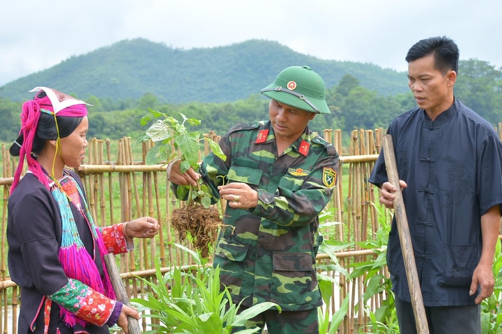 Triển khai Đề án giáo dục, tuyên truyền về Quân đội tham gia lao động sản xuất trên phạm vi cả nước