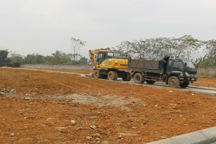 Phú Cát ngăn chặn phân lô trái phép trên đất chè Long Phú