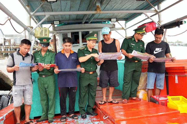Chống khai thác IUU ở Cà Mau: Không chỉ vì “thẻ vàng” mà còn vì sinh kế bền vững