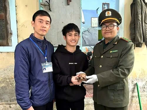 TP Huế Thả cá thể rùa sa nhân quý hiếm về môi trường tự nhiên