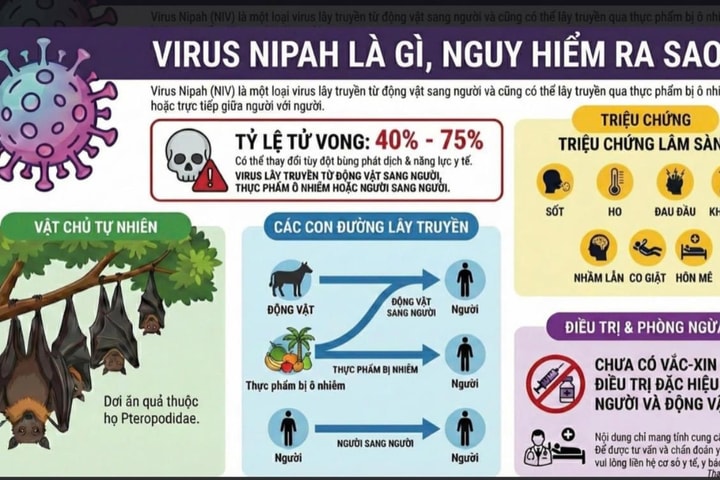 Hỏa tốc chỉ đạo chủ động phòng, chống bệnh do vi rút Nipah