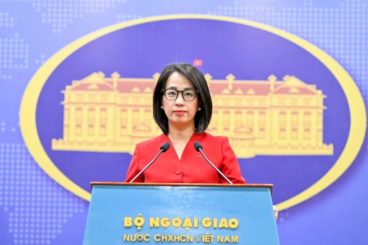 Việt Nam ủng hộ Kế hoạch Hoà bình về chấm dứt xung đột tại Dải Gaza