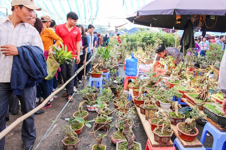 Chợ Viềng Vụ Bản: Điểm hẹn du lịch văn hóa tâm linh đặc sắc