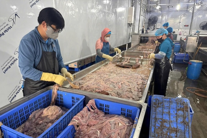 Hà Nội: Phát hiện hơn 60 tấn lòng lợn bốc mùi hôi thối tại xã Nam Phù