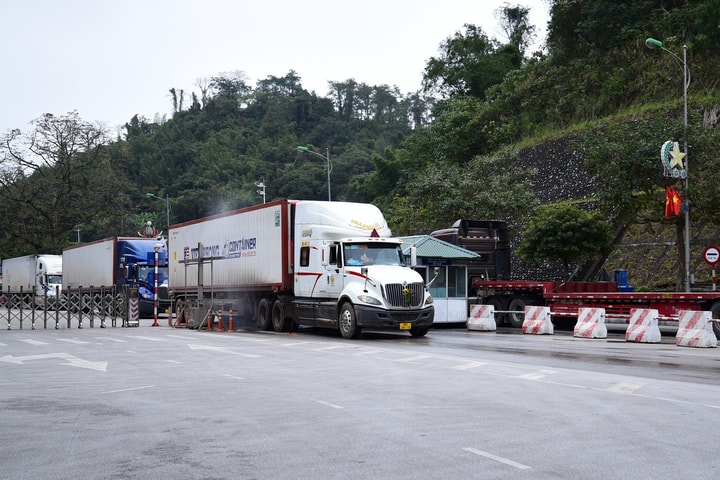 Hơn 700 lô hàng nhập khẩu được tháo gỡ ách tắc
