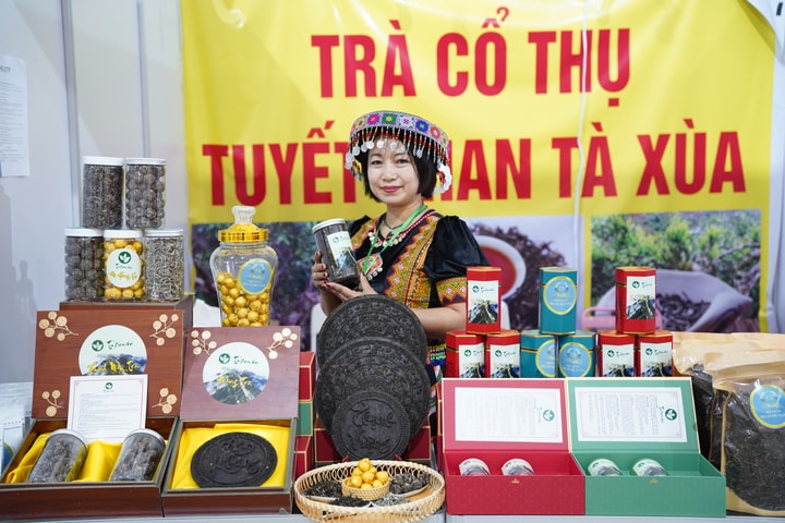 Hội chợ Mùa Xuân lần thứ nhất năm 2026 Nơi đặc sản vùng miền “kể chuyện” cùng người tiêu dùng Thủ đô