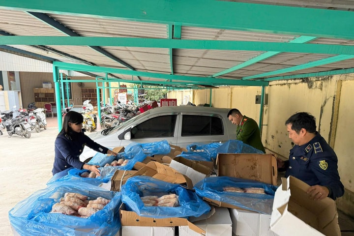 Hà Nội: Phát hiện gần 2 tấn xương, móng lợn không rõ nguồn gốc
