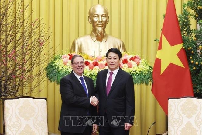 Chủ tịch nước Lương Cường tiếp Đặc phái viên Đảng, Nhà nước Cuba