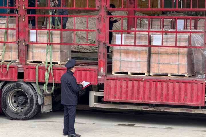 Hải quan yêu cầu trực 24/24 giờ, ưu tiên thông quan thực phẩm nhập khẩu tồn đọng
