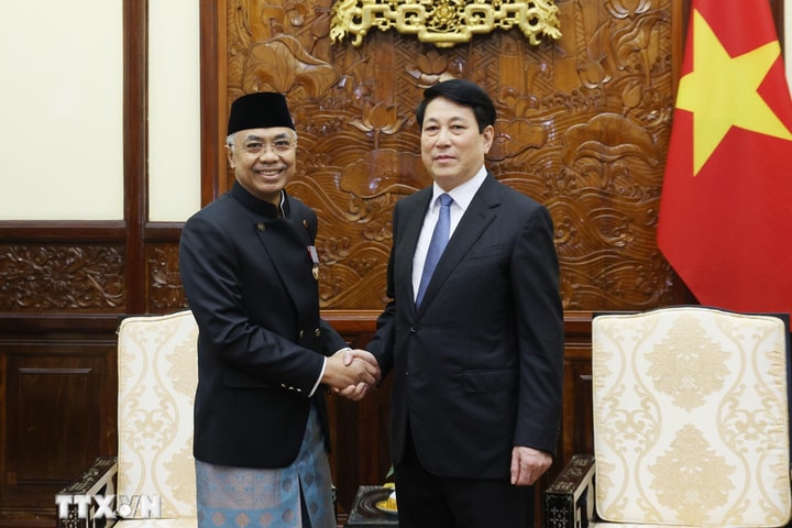 Chủ tịch nước Lương Cường tiếp Đại sứ Indonesia và Philippines trình Thư ủy nhiệm