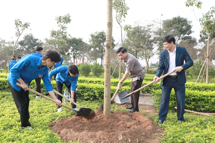 Tết trồng cây kiến tạo hệ sinh thái xanh cho Thủ đô