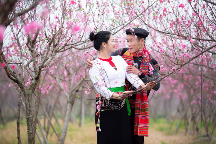 Xuân mới trên quê hương Suối Hai