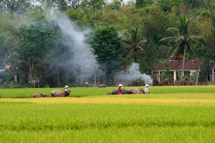 Gió nơi miền ký ức