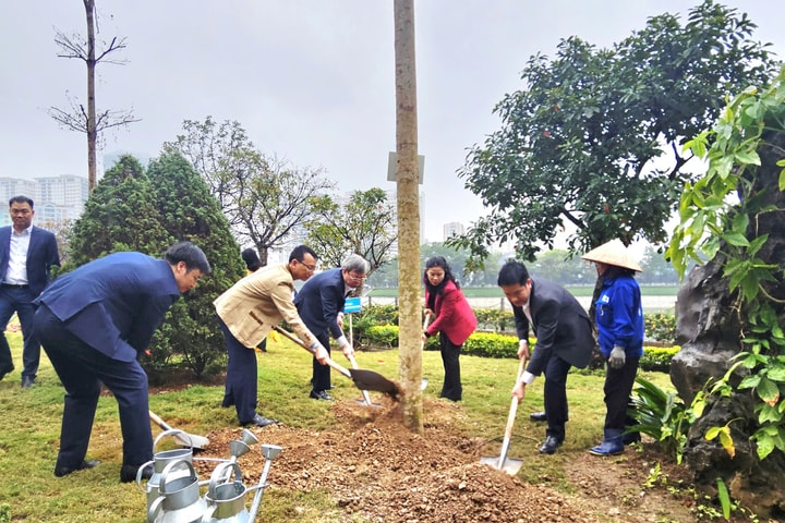 Phường Thanh Xuân: Trồng cây phủ xanh các điểm đất trống, xen kẹt