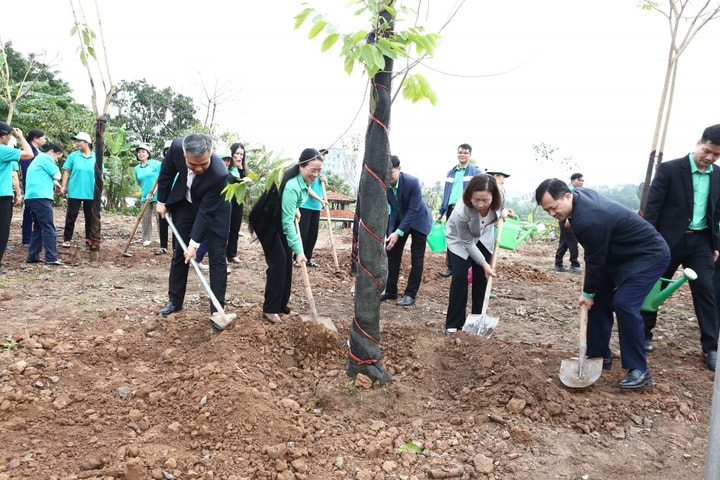 Hội Nông dân thành phố Hà Nội phát động “Tết trồng cây đời đời nhớ ơn Bác Hồ” Xuân Bính Ngọ 2026