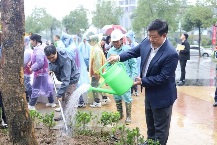 Các phường lan tỏa thông điệp sống xanh đầu Xuân Bính Ngọ 2026