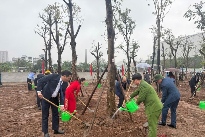 Phường Long Biên phát động trồng mới trên 400 cây xanh đô thị trong năm 2026