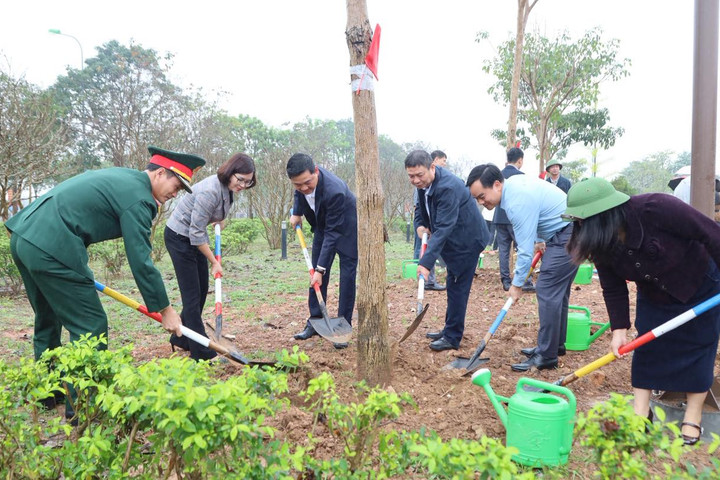 Xã Quang Minh phát huy vai trò của đoàn viên, thanh niên, hội viên các đoàn thể trong chăm sóc và bảo vệ cây xanh
