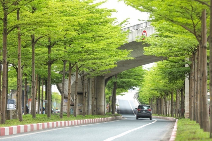 Cho Hà Nội thêm ngát những mùa xanh...