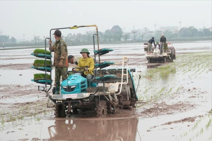 Phượng Dực tạo khí thế sản xuất từ lễ xuống đồng